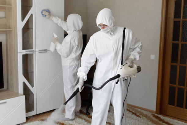 Best Commercial Mold Remediation in Cleora, OK
