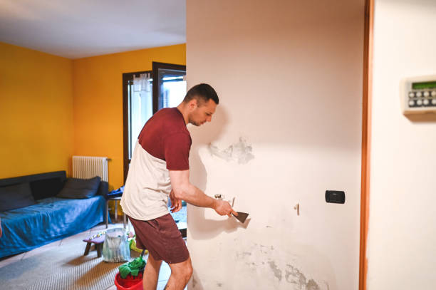 Best Emergency Mold Remediation in Cleora, OK